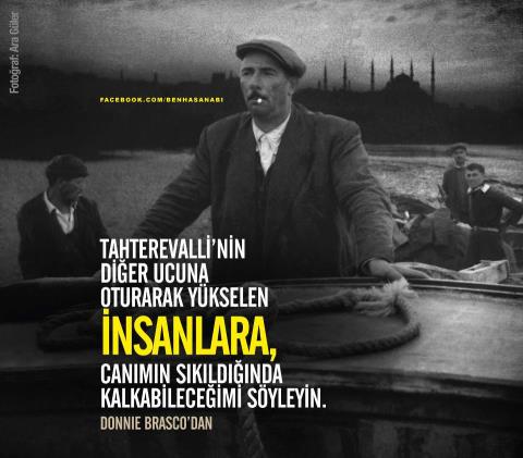 150577_377466145675134_678450777_n